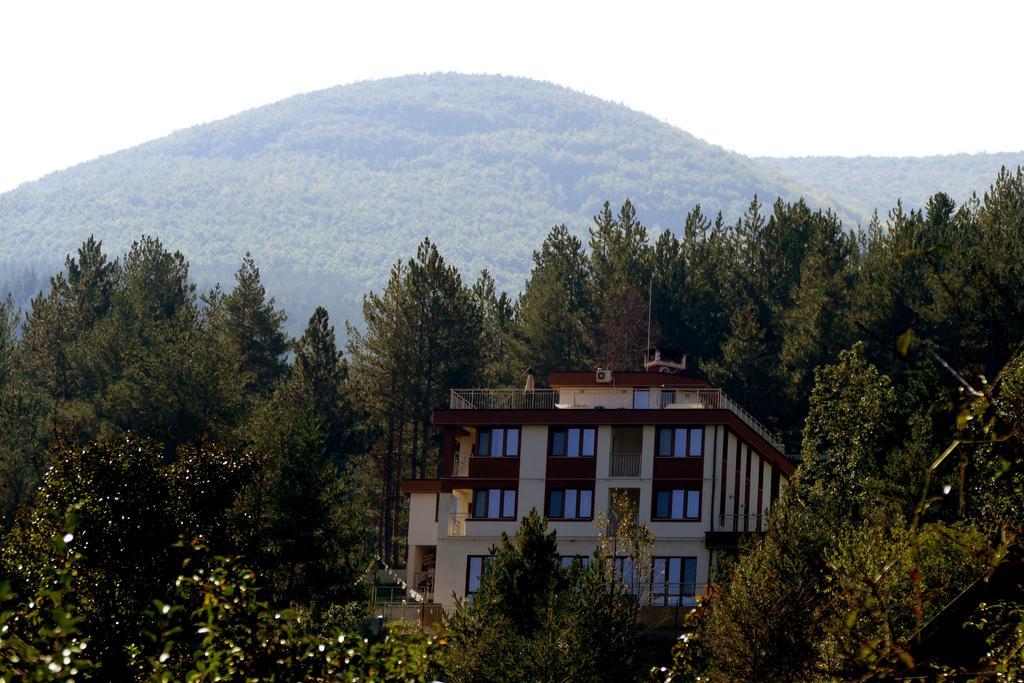 Mala Planina Guest House Iskrets Exterior photo